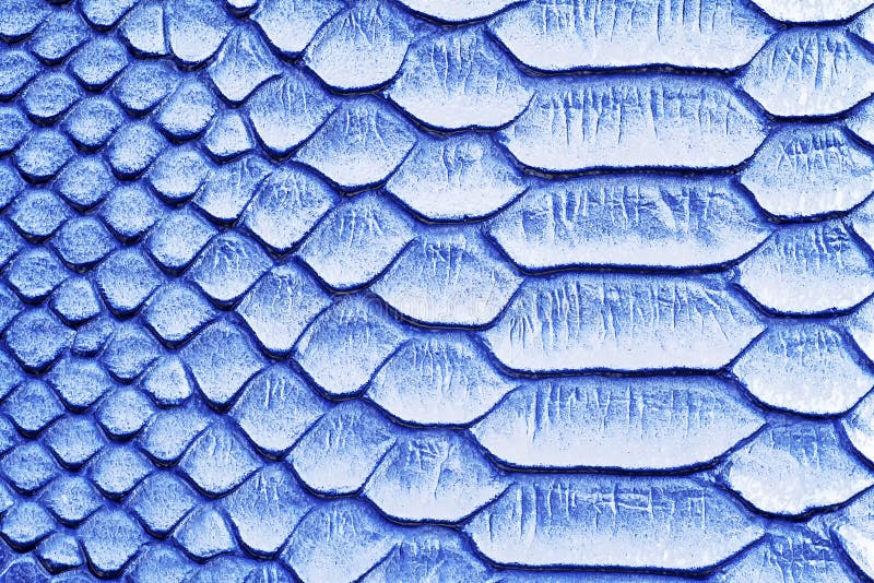 Blue snake skin background stock image. Image of design - 176243703