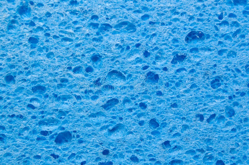 The blue sponge