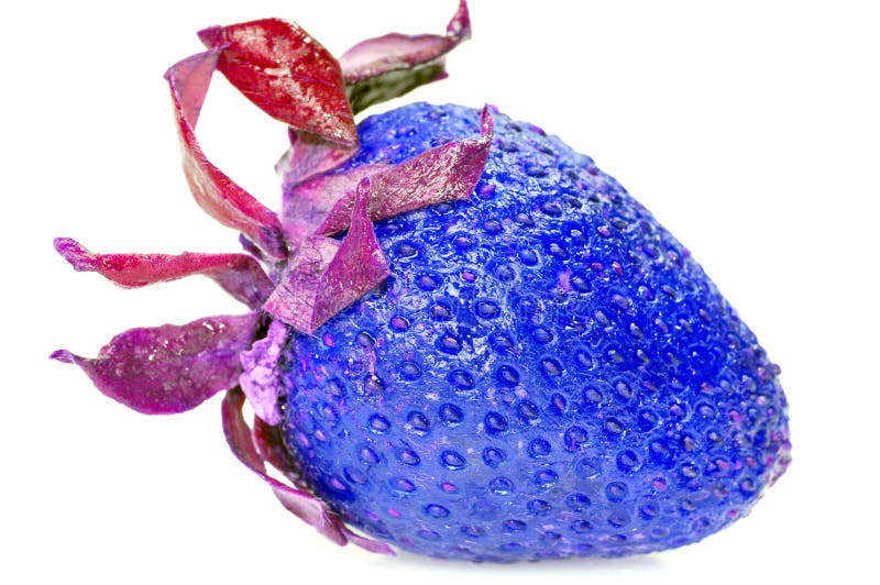 Blue strawberry stock photo. Image of strawberry, natural 23438760