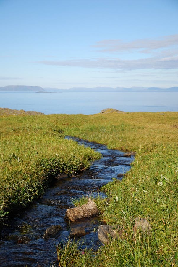 Blue stream in green meadow of summer Soroya.