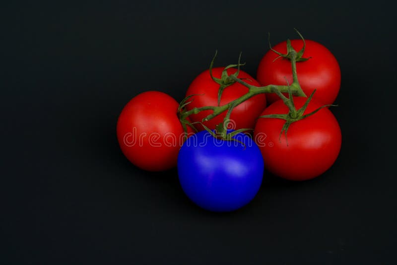 Blue Tomato stock photo. Image of nature, changed, fruit - 220068