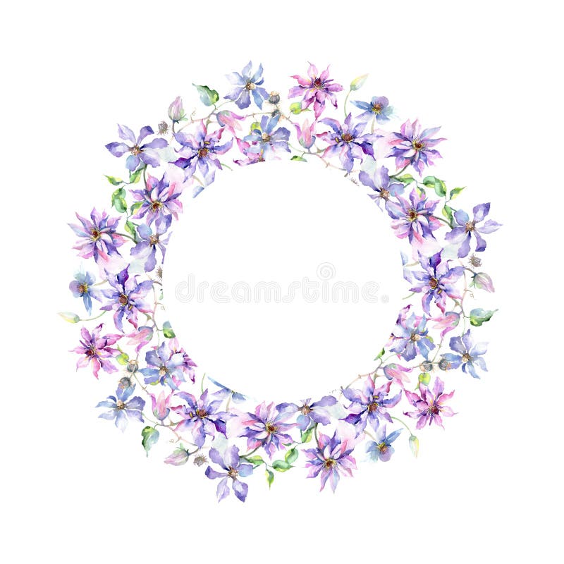 Blue violet clematis bouquet botanical flowers. Watercolor background illustration set. Frame border ornament square. stock illustration Blue violet clematis bouquet botanical flowers. Watercolor background illustration set. Frame border ornament square. stock illustration
