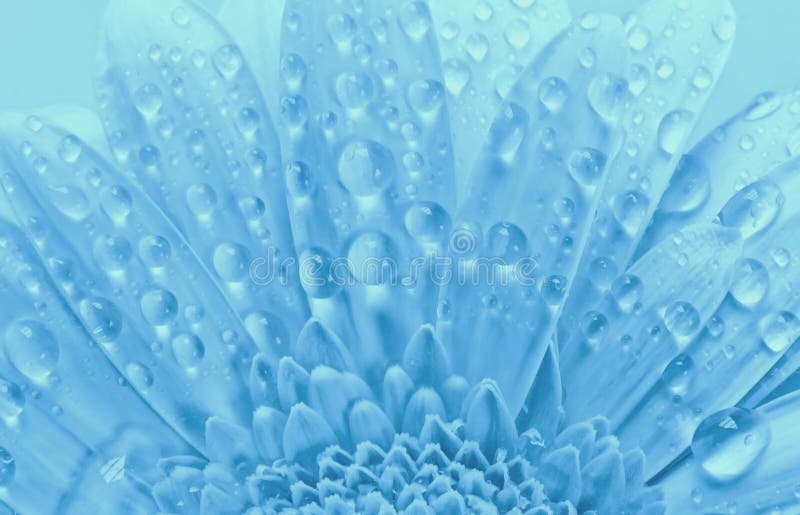blue water flower background