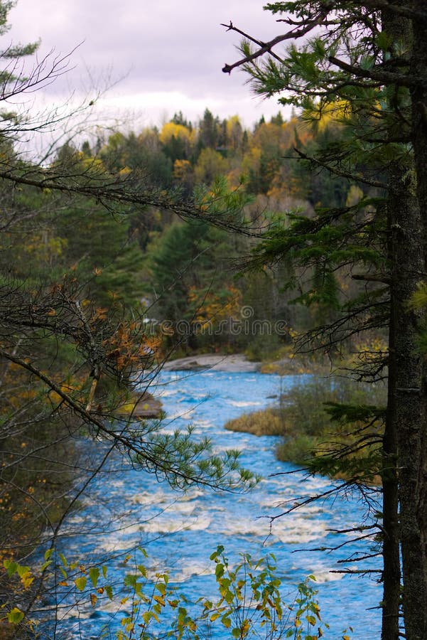 Stream of Blue Water in the Woods and Leaves with the Different Colors