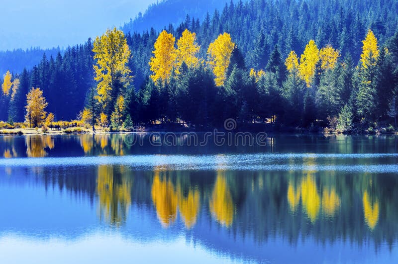 Blue Water Yewllow Trees Gold Lake Autumn Snoqualme Pass Washing