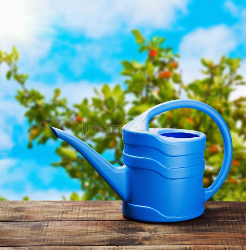 Blue watering can stock image. Image of blue, plastic 29784747