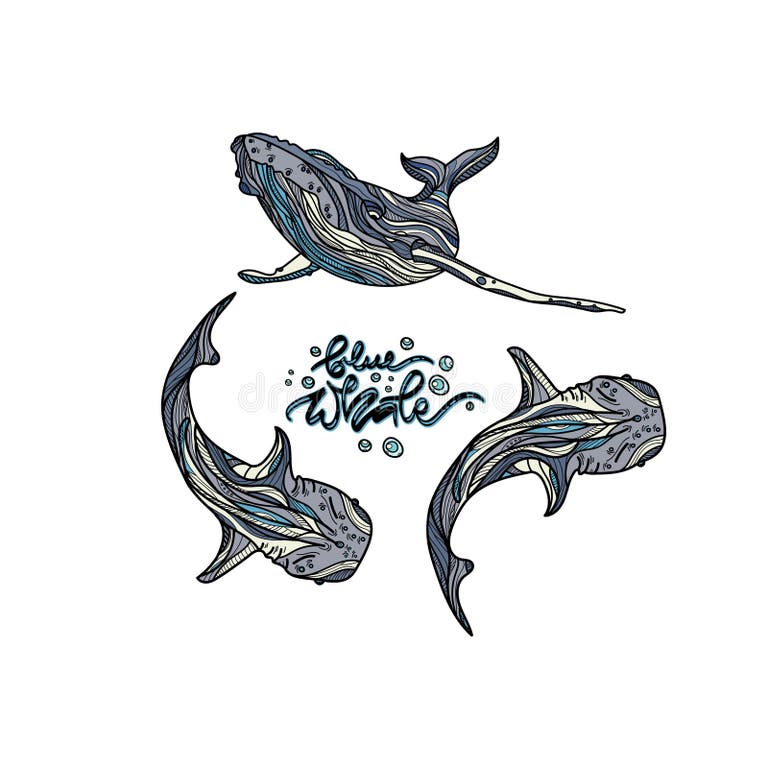 Whales Elements Stock Illustrations – 305 Whales Elements Stock