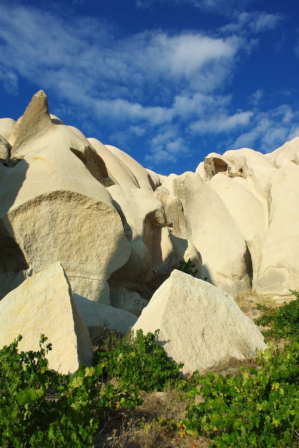 Blue-White-Green Landscape royalty free stock image