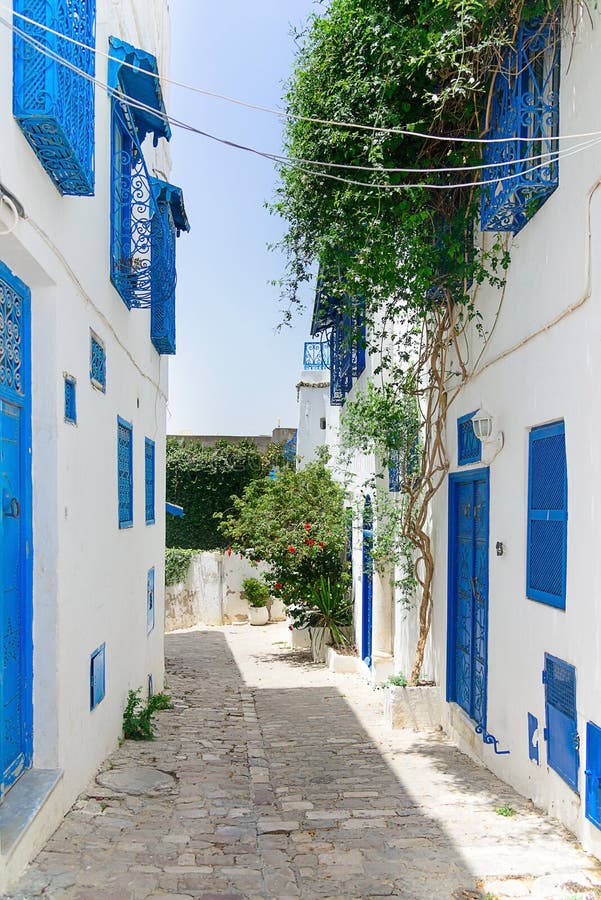 Blue Doors And White Wall Of Sidi Bou Said, Tunisia Stock Photo - Image ...