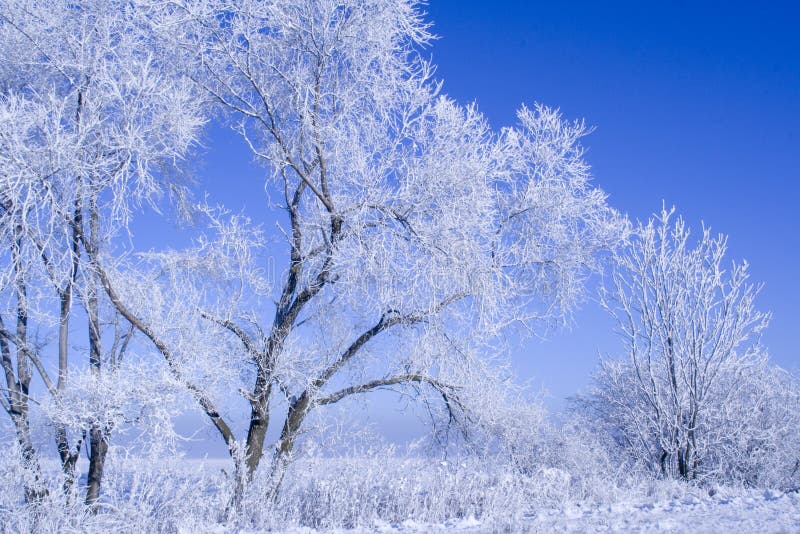 Blue winter stock image. Image of schladming, daytime, fresh - 448057