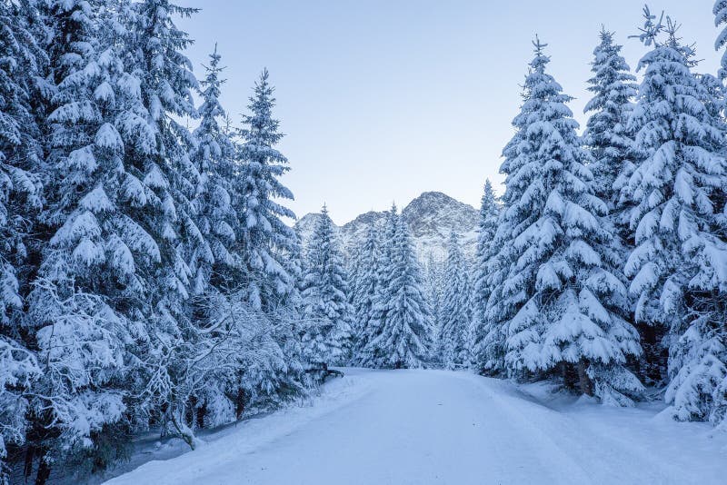 Blue winter landscape with road stock photography Blue winter landscape with road stock photography