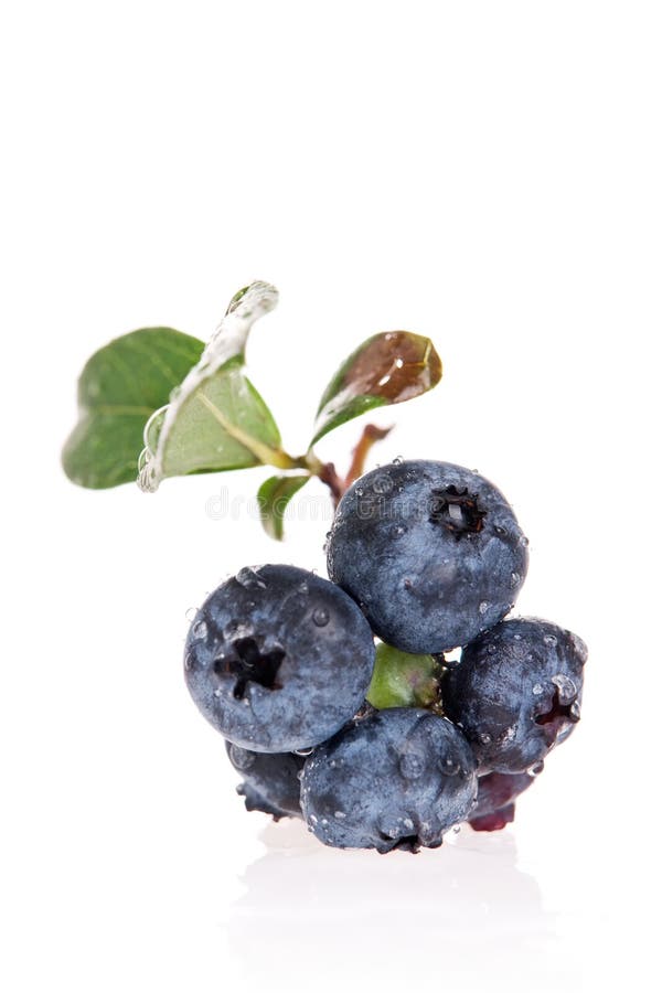 Blueberries