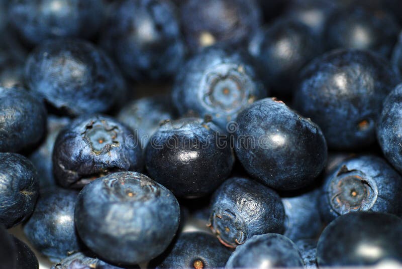 Blueberries stock image. Image of purple, nutritious, huckleberry 5340723