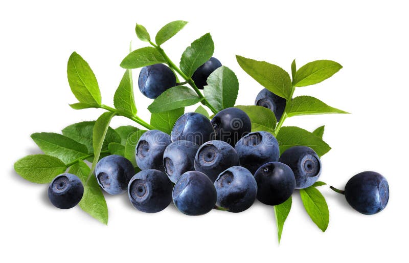 Blueberries_arrangement