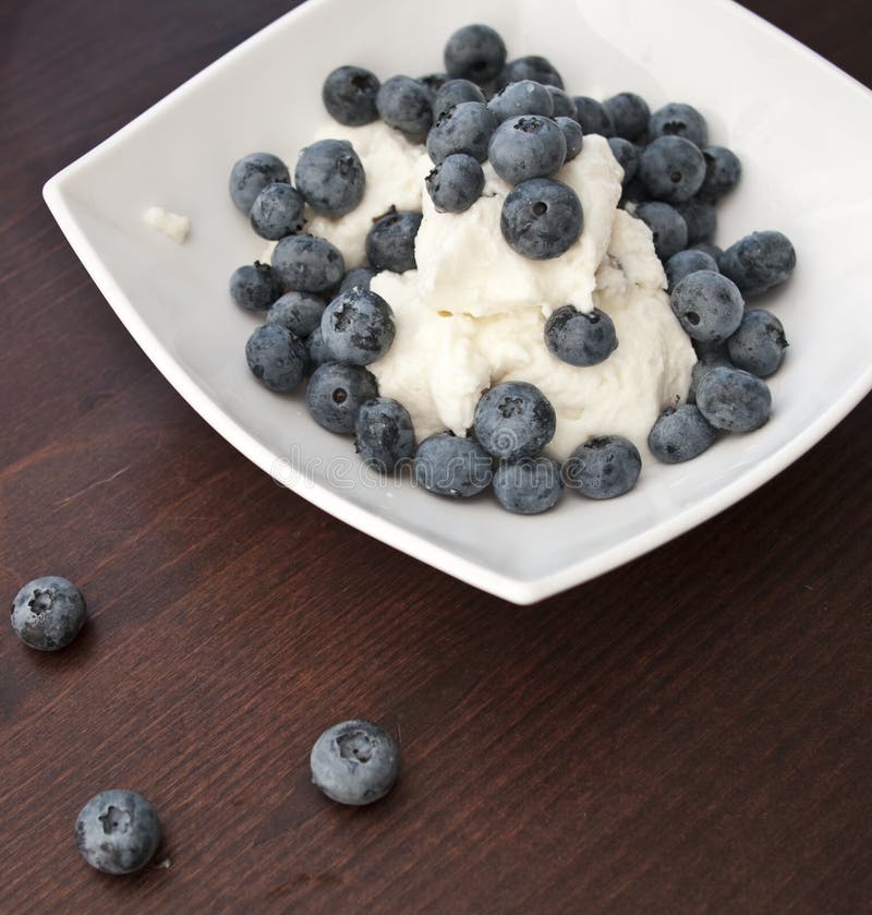 Blueberries with Cottage Cheese Stock Image Image of tableware, good