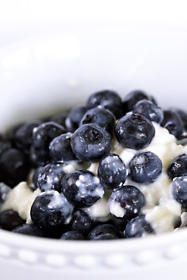Blueberries and Cottage Cheese in a White Bowl Stock Image Image of