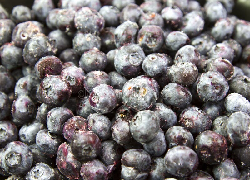 Blueberries stock image. Image of food, frozen, antioxidants 36927289