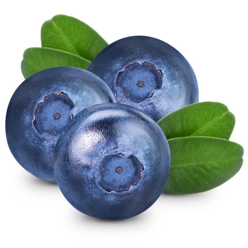 Blueberries stock photo. Image of food, vegetarian, purple 47529580