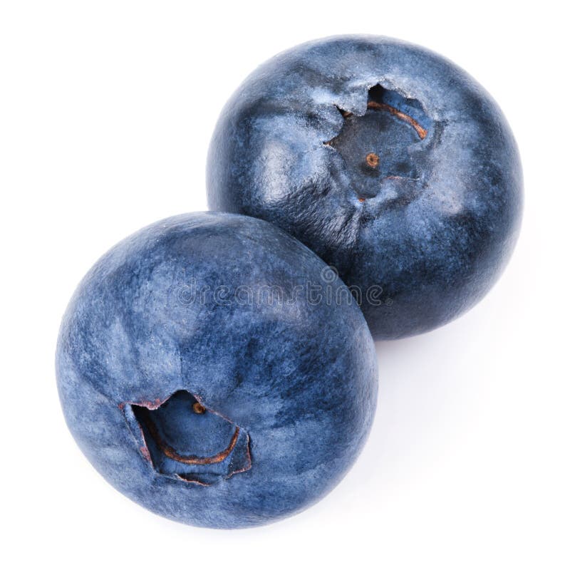 Blueberries stock photo. Image of food, vegetarian, purple 47529580