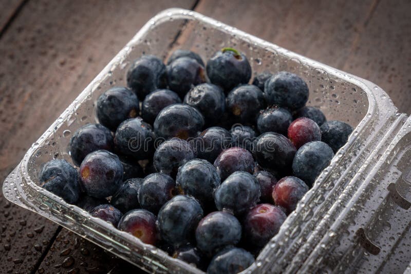 Blueberries from Organic Frozen Cultivation and Ready To Be Consumed