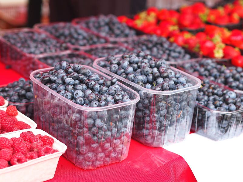 Packages With Blueberry, Cherry, Raspberry In Zipper Plastic Bags For