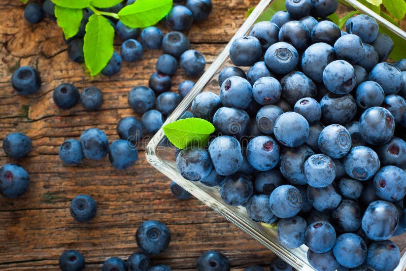 Blueberries royalty free stock photography