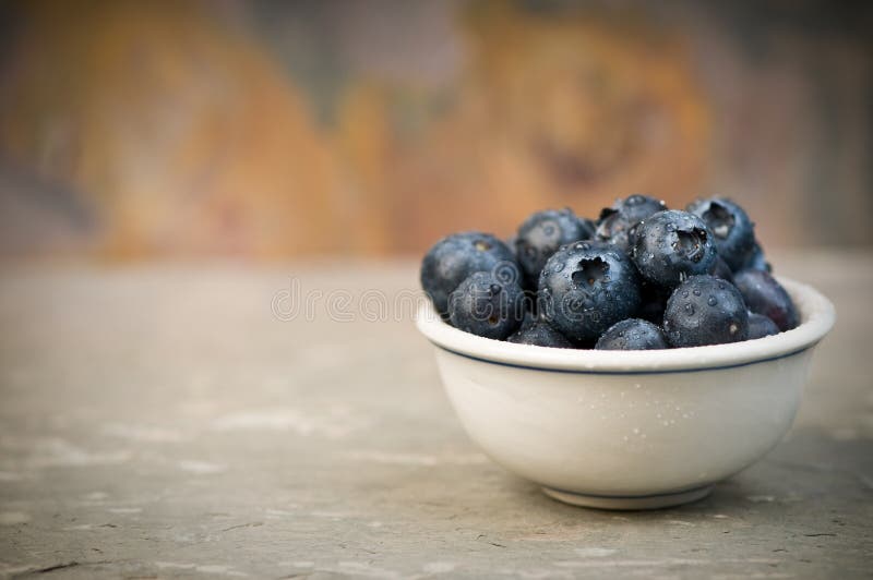 Blueberries in a Small Bowl