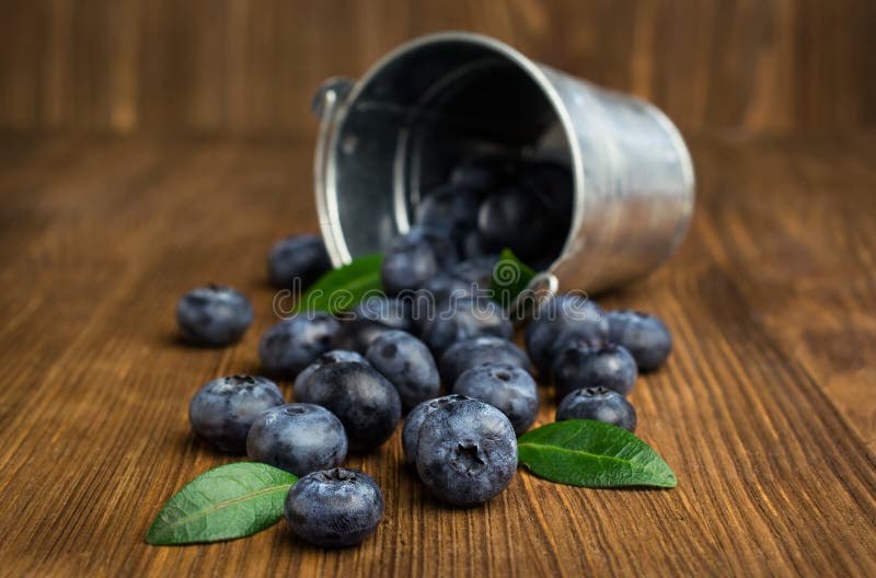 Blueberries in Small Bucket Stock Image Image of closeup, food 43732357