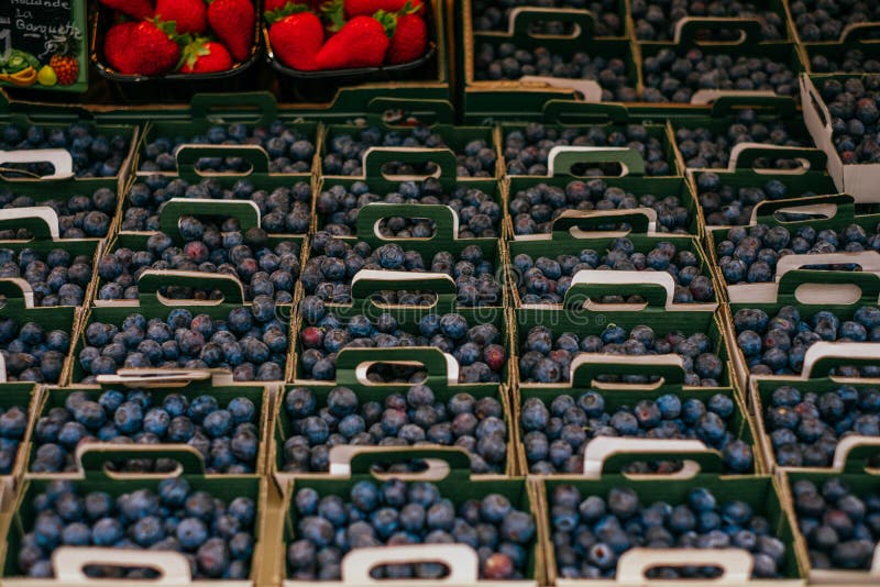 Blueberries at Farmers Market Stock Photo Image of color, offer
