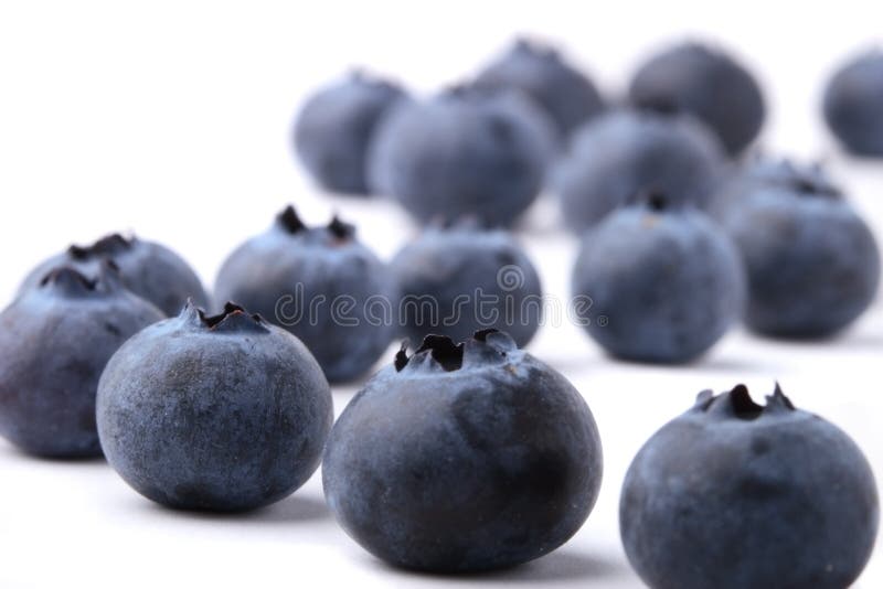 Blueberries on white stock photo. Image of summer, vitamin 2792856