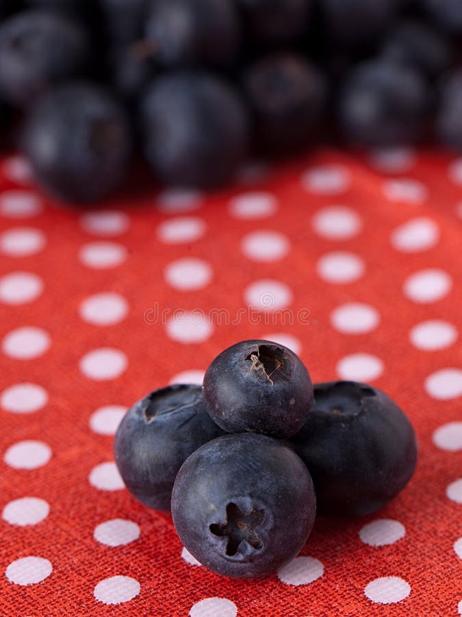 Blueberry stock image. Image of healthy, berry, fruit 24329477