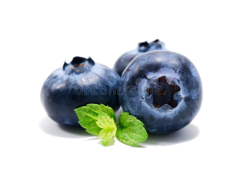 Blueberry royalty free stock image
