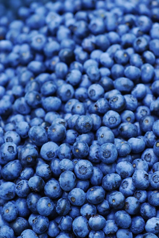 Blueberry Background stock image. Image of fruit, crop 12109251