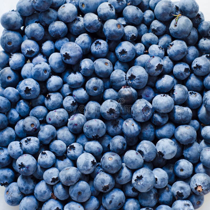 Blueberry background stock image. Image of heap, fresh 70516883