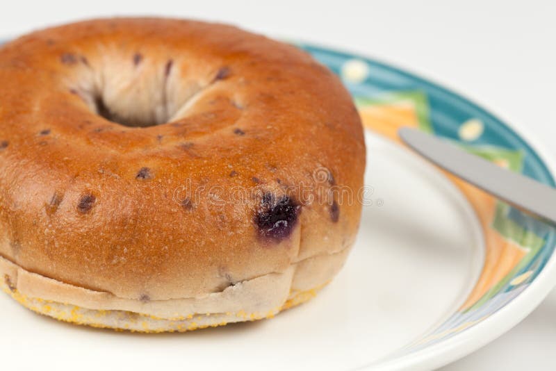 Toasted blueberry bagel stock photo. Image of golden 15692068