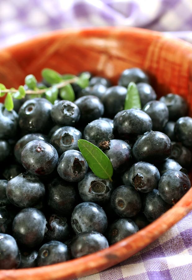 Blueberry in bowl stock photo. Image of diet, dessert 15457962