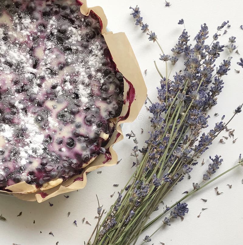 Blueberry Cheesecake and Lavender Stock Photo - Image of blueberry