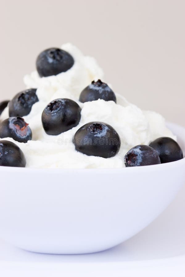 Blueberry Cream Picture. Image 2544755