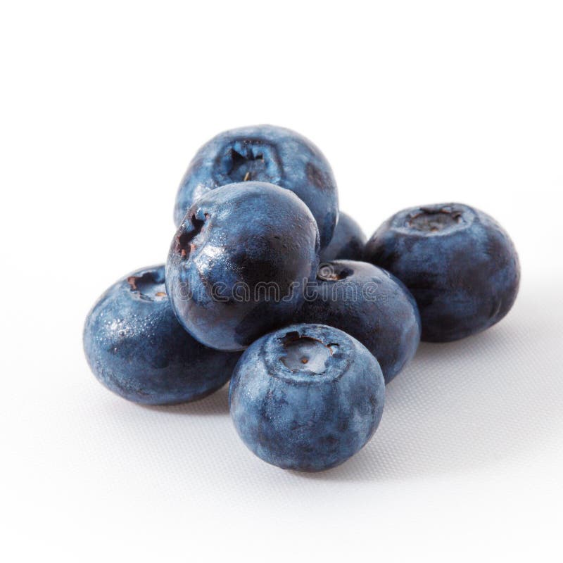 Blueberry. Fresh forest berries isolated on white background.