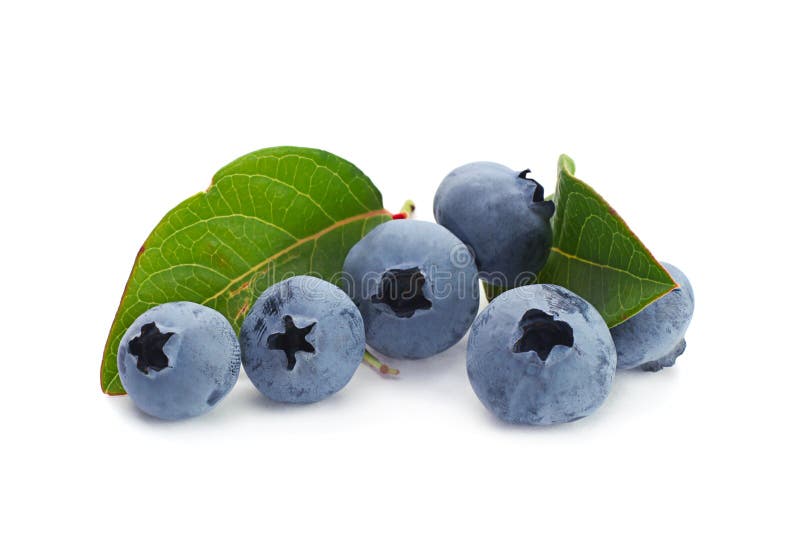 Blueberry fruit stock image. Image of juicy, fresh, vegetarian 58216233