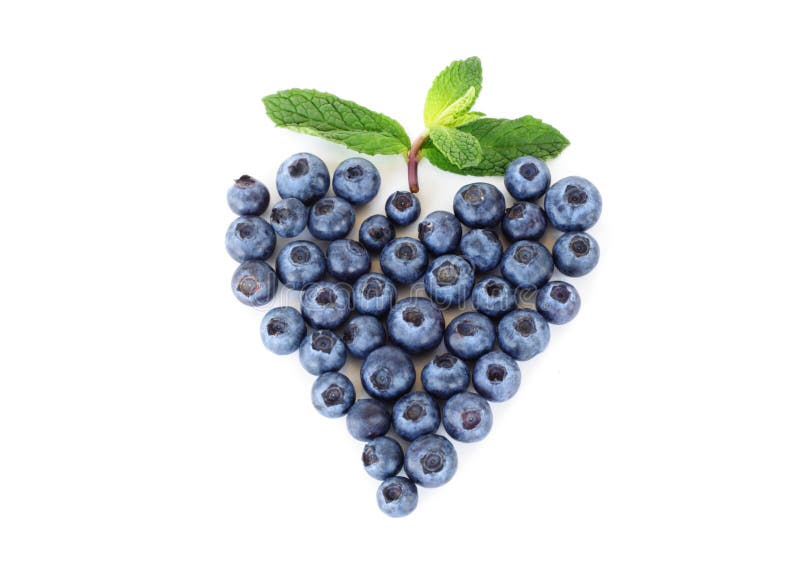 Blueberry heart stock image. Image of healthy, leaf, health 12481597