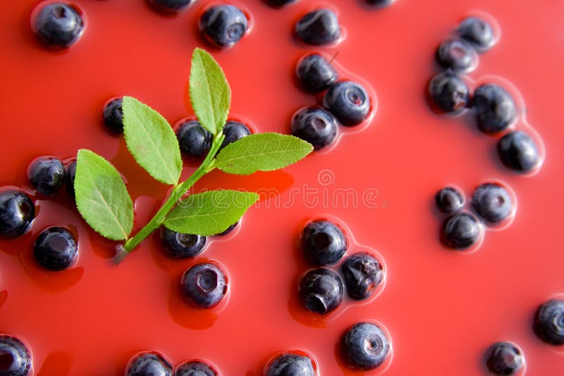Blueberry juice stock image. Image of drinks, taste, concept 14947995