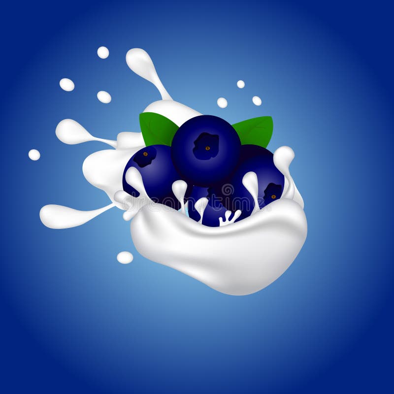Berry In Creamy Milk Splash Stock Vector Illustration of leaf, fruit