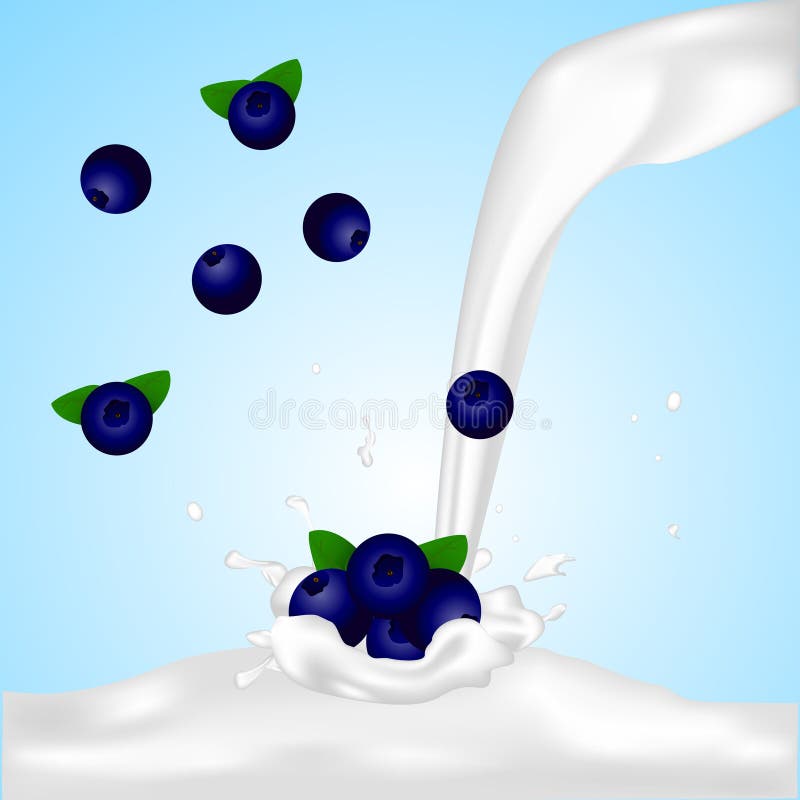 Blueberry in milk splash stock vector. Illustration of drop 96401320