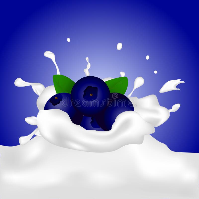 Blueberry in milk splash stock vector. Illustration of drop 96401320
