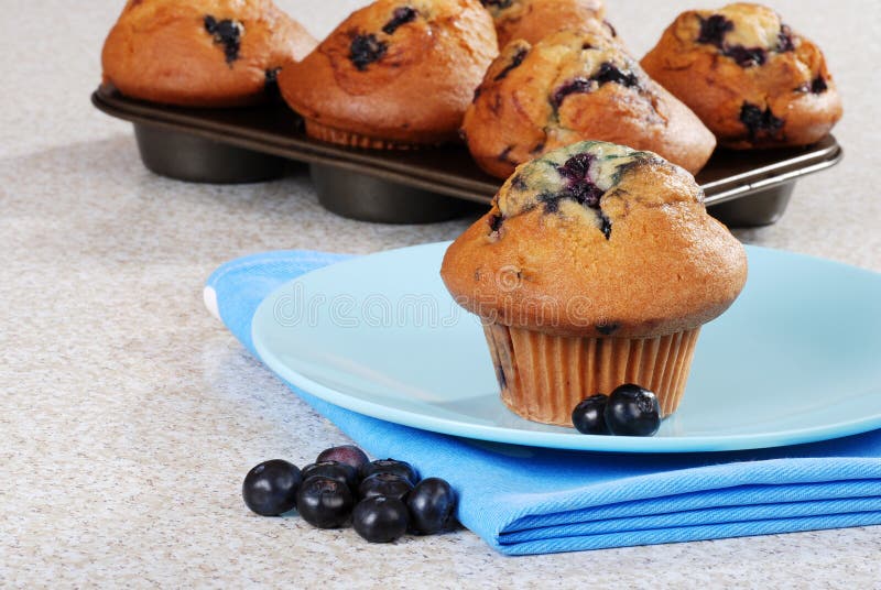 Blueberry Muffin on a Plate with Icing Sugar Stock Image Image of