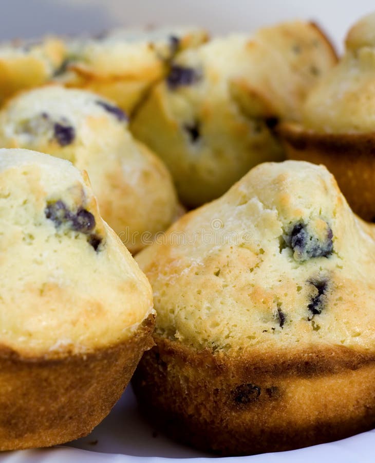 Blueberry Muffins stock photo. Image of carbohydrates 2915092