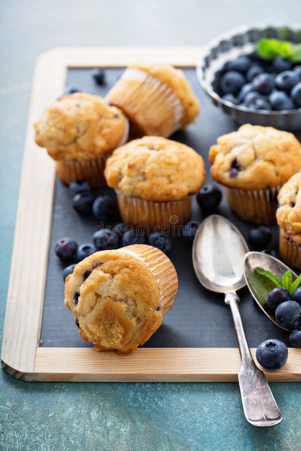 Blueberry muffins on a tray