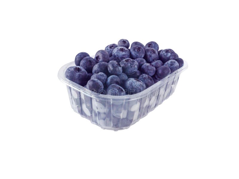 Blueberry in the Plastic Container Stock Photo Image of crop, agriculture 124163514