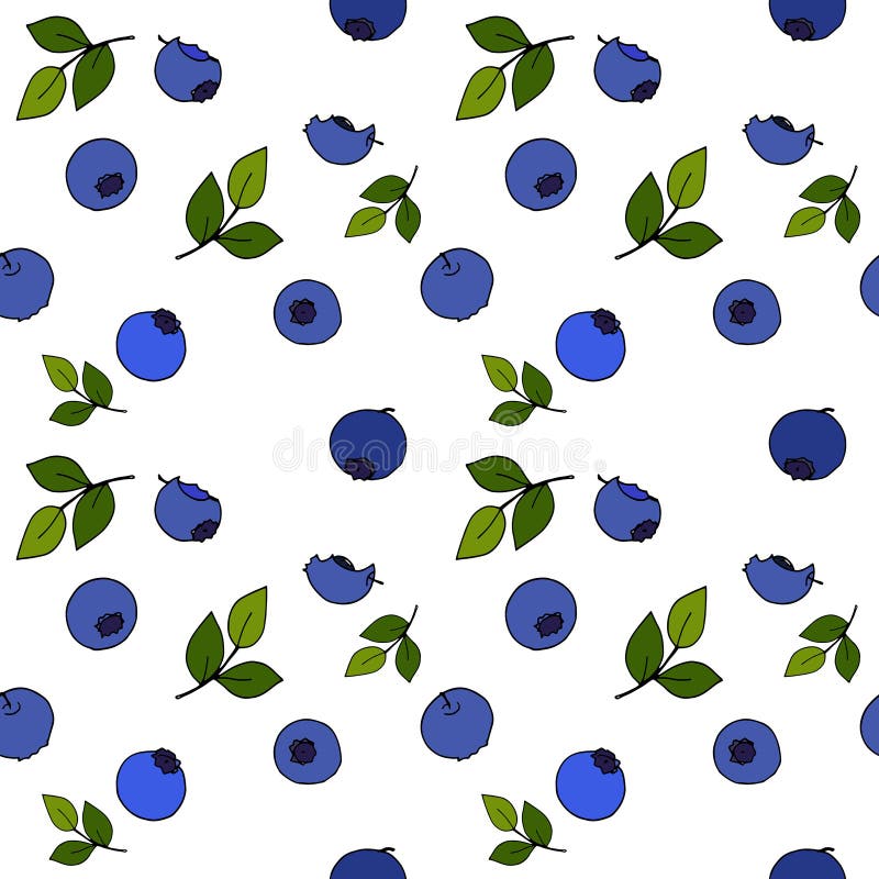 Blueberry Seamless Pattern By Hand Drawing On White Backgrounds Stock